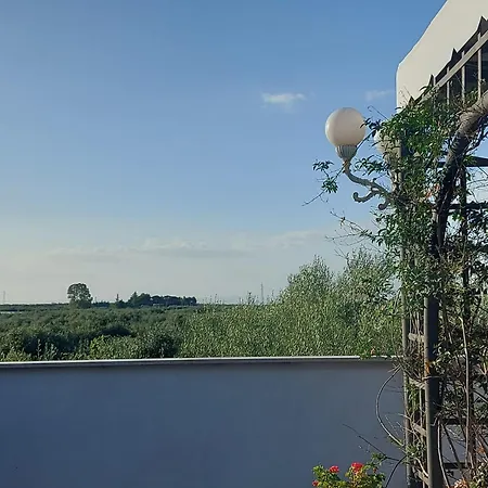 La Villa Del Conte-3