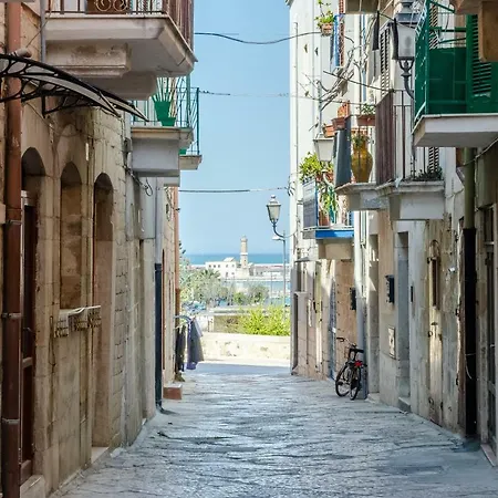 Domatia-2